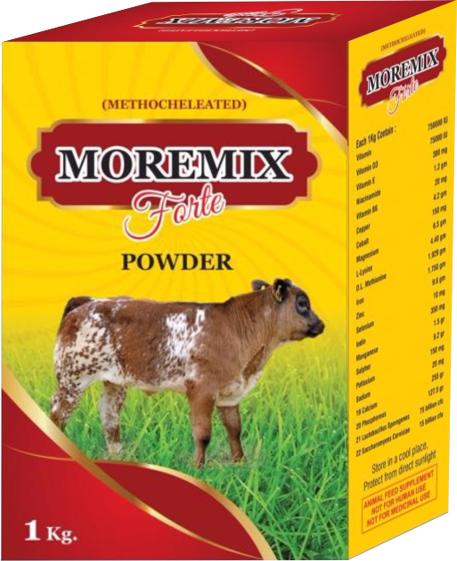 Moremix Forte Powder